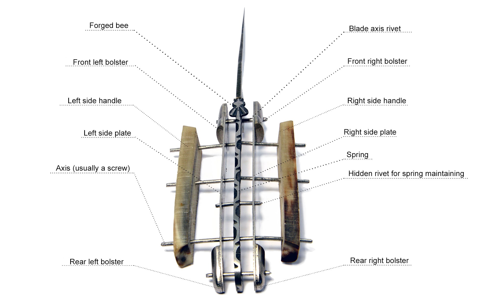General Anatomy of a Laguiole knife.